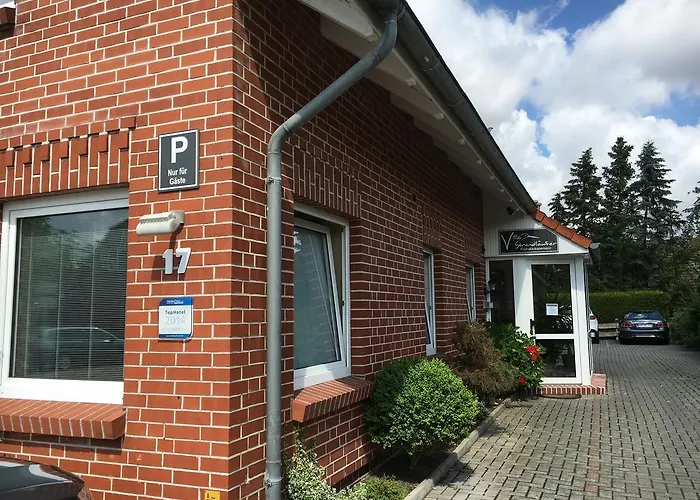 Strandlaeufer